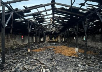 Pożar kurnika w miejscowości Miłolas. Duże straty