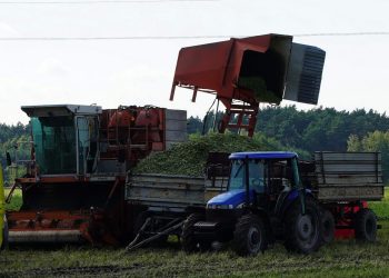 Tragedia podczas prac polowych. Nie żyją dwie osoby