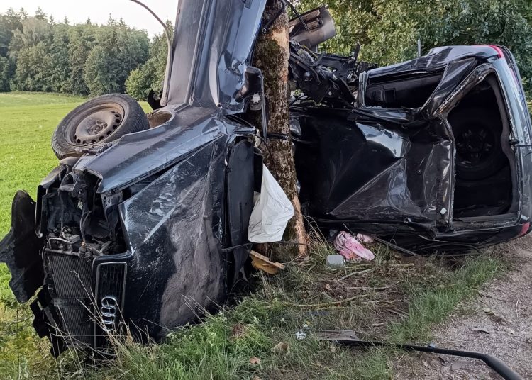 foto. policja
