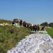 KP PSP Głogów: Sytuacja jest trudna, ale stabilna