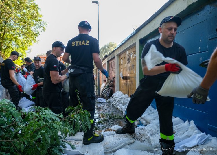 foto. sekc. Aron Górnowicz