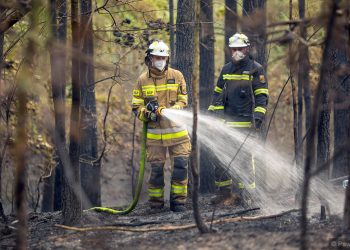 Dwa duże pożary lasów w województwie podlaskim