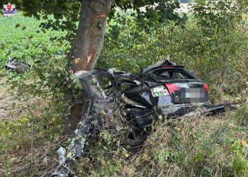 Śmiertelny wypadek na Lubelszczyźnie. Nie żyje 24-latek