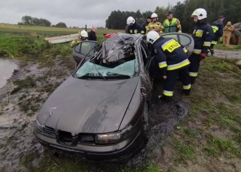 Po uderzeniu w łosia wjechała do stawu. Nie żyje