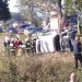 Bus z drużyną piłkarską uderzył w drzewo