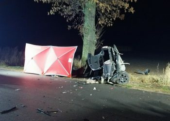 Tragiczny wypadek pod Łęczycą. Zginął młody kierowca