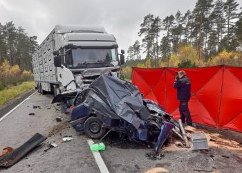 Trzy osoby zginęły w wypadku. tragedia na DK20