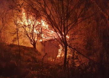 Lublin. Trzy osoby zginęły w pożarze pustostanu