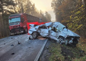Śmiertelny wypadek na drodze wojewódzkiej nr 906