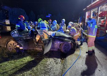 Wypadek BMW w Wilkowie. Kierowca zakleszczony w pojeździe