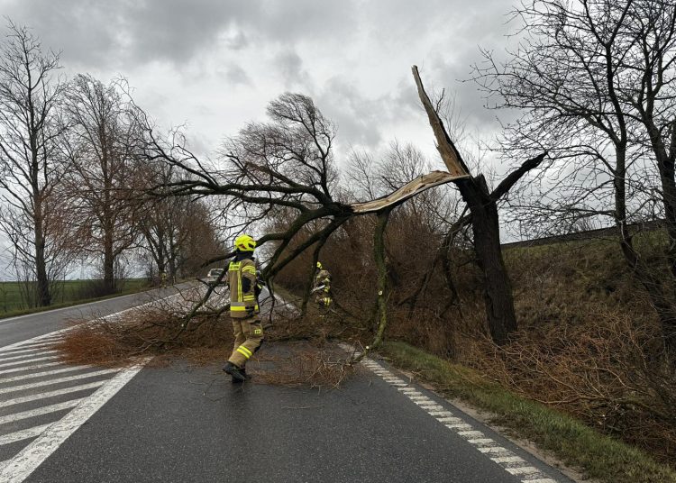 foto. Ochotnicza Straż Pożarna w Gnieżdżewie