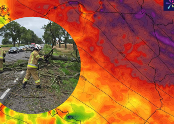 Silny wiatr nad Polską. SOB ostrzega!