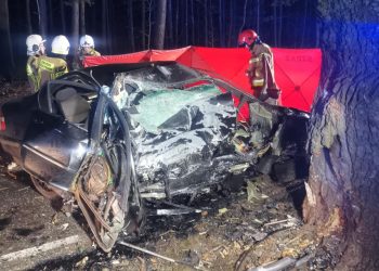 Śmiertelny wypadek w miejscowości Krusze