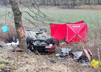 Wypadek na drodze powiatowej. Zginęło dwóch mężczyzn