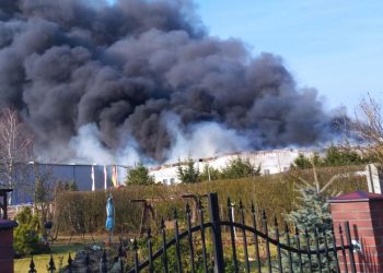 W Cigacicach płonie hala produkcyjna -magazynowa