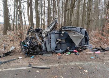 Śmiertelny wypadek na DW233