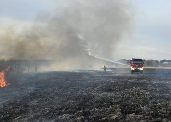 Zaczął się sezon wypalania traw. Jest pierwsza ofiara