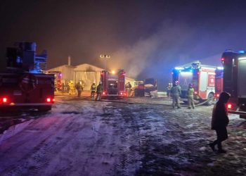 Pożar kurnika pod Siedlcami. Zginęło tysiące kurcząt
