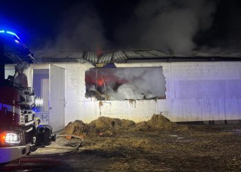 Pożar na fermie drobiu w Mdzewku