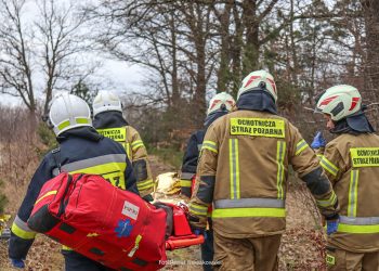 TORFY 25, czyli ćwiczenia w Borach Dolnośląskich