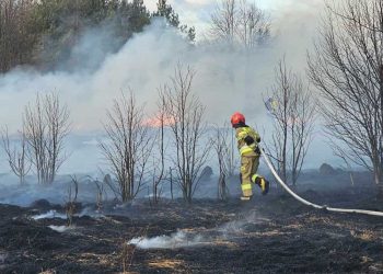 Rozległy pożar traw w miejscowości Zręcin