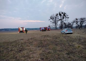 Tragedia w Nieborowie. Kolejna ofiara wypalania traw
