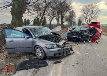 Tragiczny wypadek w Cześnikach. Zginął 22-latek