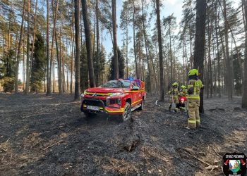 Pożar w lesie. W akcji strażacy z dwóch powiatów