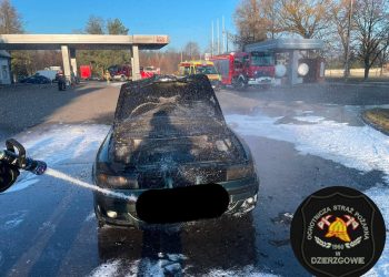 Nieborów. Pożar samochodu i zwęglone ciało