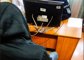 30-latek odpowie za podpalenia nieużytków rolnych