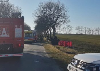 Tragedia na drodze powiatowej. Nie żyją trzy osoby