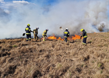 Znowu płonie Biebrzański Park Narodowy
