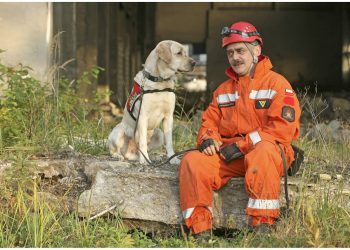 Ratownicy na czterech łapach. Dzisiaj Dzień Psa Ratowniczego