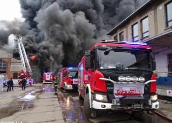 Pożar hali w Gdańsku. Ustalono przyczynę