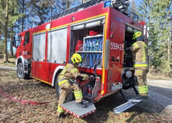 Strażackie ćwiczenia powiatowe pk. SOSNA 2025