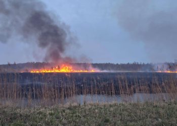 Kolejny pożar w Biebrzańskim Parku Narodowym