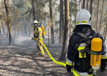 Pożar lasu w powiecie bocheńskim. W akcji 120 strażaków