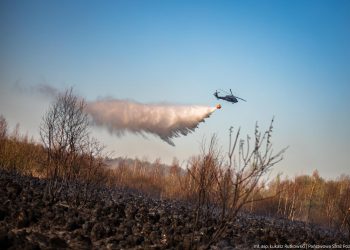 Black Hawk w akcji. 73 zrzuty wody jednego dnia