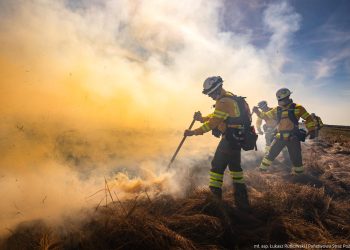 MSWiA: Pożar w BPN nie rozprzestrzenia się