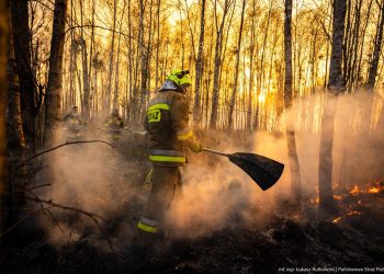 Moduł GFFF LUBLIN jedzie do Biebrzańskiego Parku Narodowego