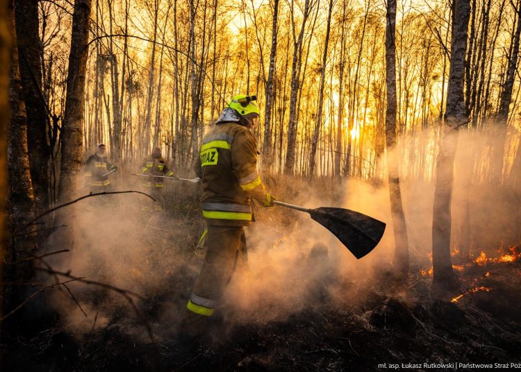 foto. Łukasz Rutkowski/PSP