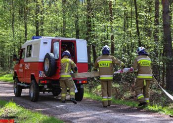 Manewry w Nadleśnictwie Chrzanów. W akcji ponad 200 strażaków