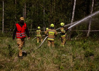 Opolskie kompanie gaśnicze ćwiczyły w Nadleśnictwie Opole