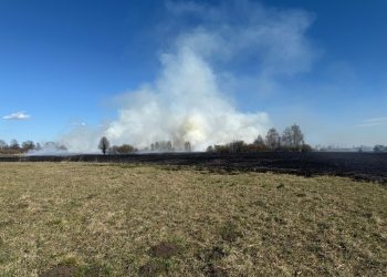 Pożar traw. W akcji strażacy z dwóch powiatów