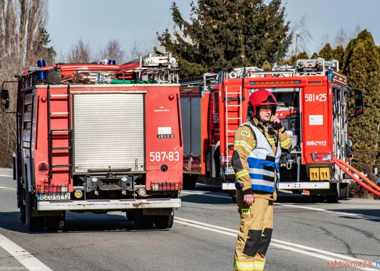 foto. Sebastian Komorowski