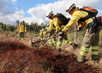 Ćwiczenia GFFF ‘LUBLIN’ pod kryptonimem ‘GFFF Lubelskie 25’