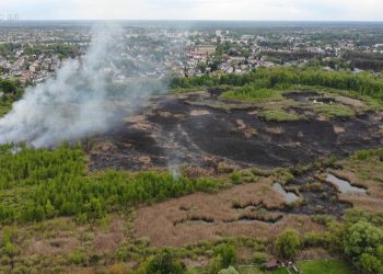 Pożar w rezerwacie „Białe Błota” w Wołominie