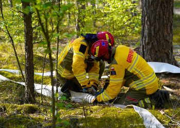 Ćwiczenia modułu GFFFV POZNAŃ w Puszczy Noteckiej