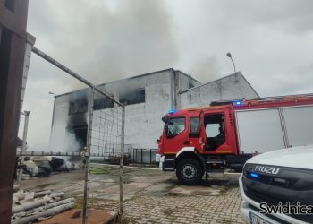Pożar hali w Świdnicy. Na miejscu kilkanaście zastępów