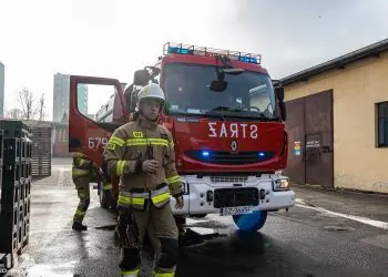 Dotacje na wozy 2025: Śląskie